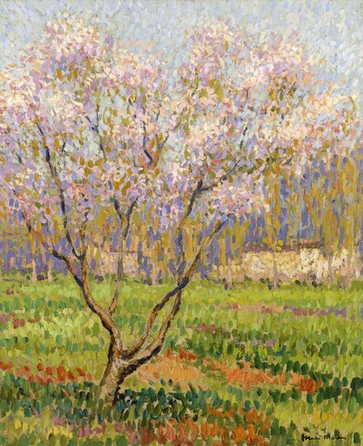 Apple Tree in Blossom by Henri Martin