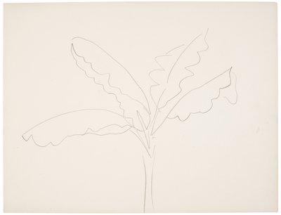 Banana Tree (Tahiti) by Henri Matisse
