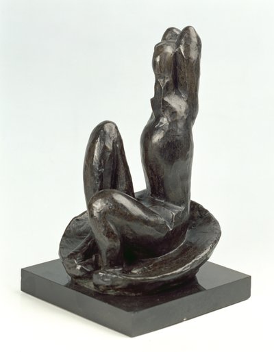 Venus in a Shell I by Henri Matisse