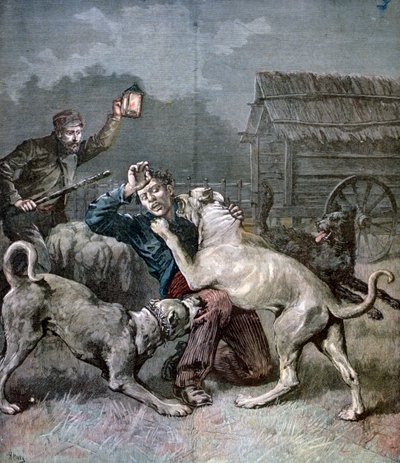 A Criminal Attacked by Three Large Dogs, 1891 by Henri Meyer