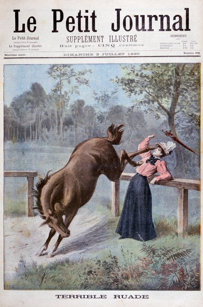 A Young Woman is Kicked by a Horse by Henri Meyer