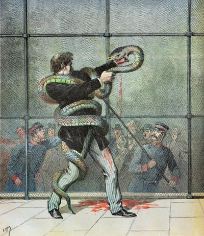 Science Teacher Injured by a Python by Henri Meyer