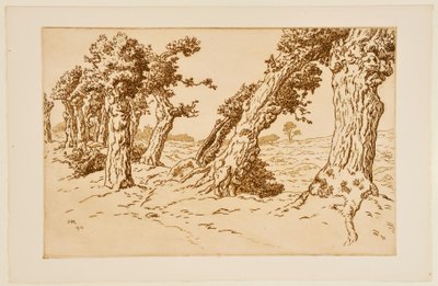 Gnarled Trunk Trees by Henri Rivière