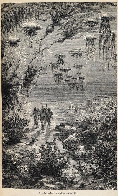 Illustration for 