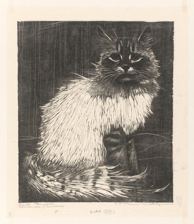 Colorful Angora by Henri Verstijnen (signed by artist)