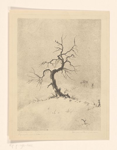 Lonely Tree by Henri Verstijnen (signed by artist)