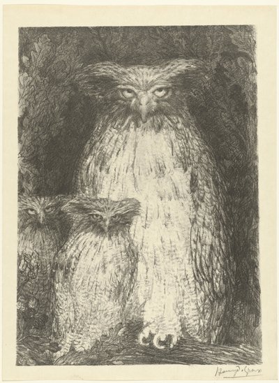 Owl with Two Owlets Sitting on a Branch by Henri de Groux