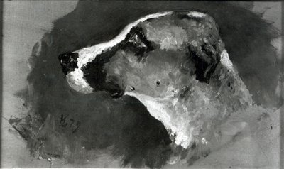Head of a Dog with Short Ears by Henri de Toulouse Lautrec