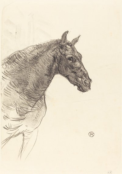 Old Horse by Henri de Toulouse Lautrec