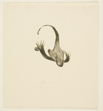Tailpiece from Au Pied du Sinaï by Henri de Toulouse Lautrec