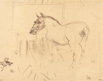 The Small Pony from Calmese by Henri de Toulouse Lautrec