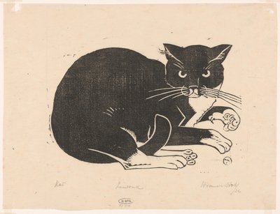 Cat by Henri van der Stok (signed by artist)