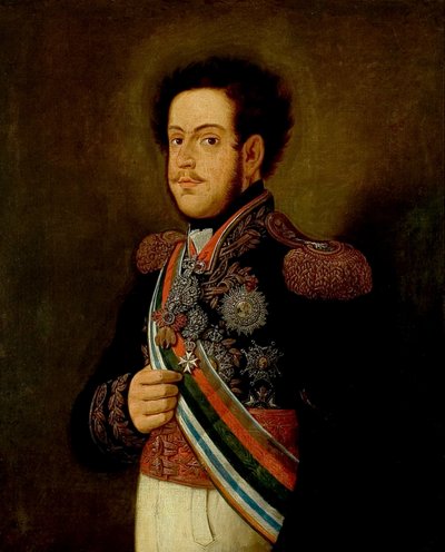 Portrait of D. Pedro I by Henrique Jose da Silva