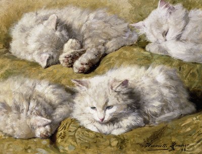 Studies of a Long-haired White Cat by Henriëtte Ronner Knip