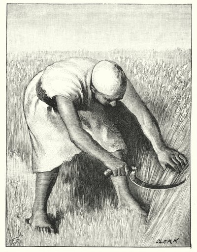 Reaping in the East by Henry Andrew Harper