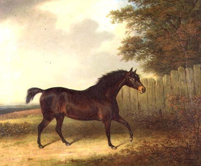 A Dark Bay Stallion in a Landscape by Henry Bernard Chalon
