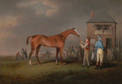 Quiz, After His Last Race at Newmarket by Henry Bernard Chalon