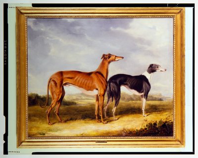 Two Greyhounds, the Property of Dr. Edmund Taylor of Booth Hall by Henry Calvert