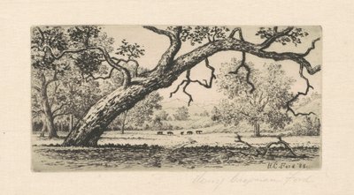 California Landscape by Henry Chapman Ford