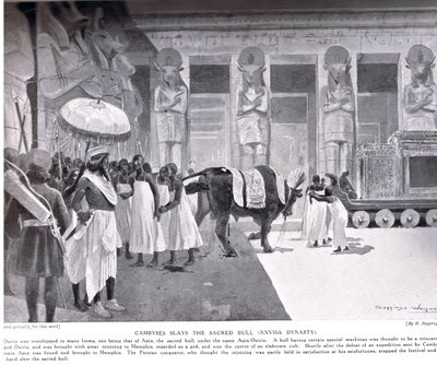 Cambyses Slays the Sacred Bull, Illustration from 