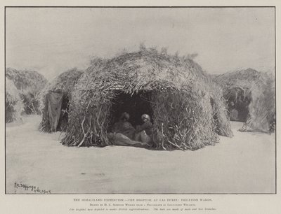 The Somaliland Expedition, the Hospital at Las Durie, Isolation Wards by Henry Charles Seppings Wright