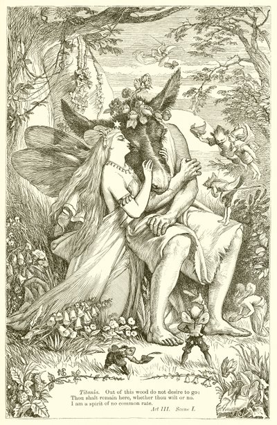 A Midsummer Night