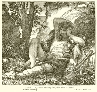 Timon of Athens by Henry Courtney Selous