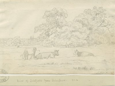 Lichfield - View from Aldershaw by Henry Curzon Allport