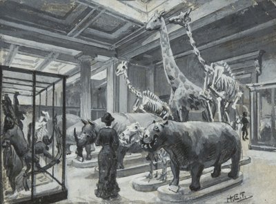 Interior view of the British Museum showing the gallery containing animal exhibits, c.1880 by Henry Edward Tidmarsh