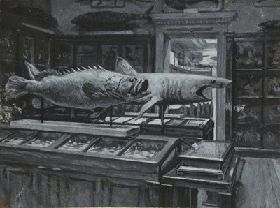Interior view of the British Museum showing the gallery of fish exhibits, c.1880 by Henry Edward Tidmarsh