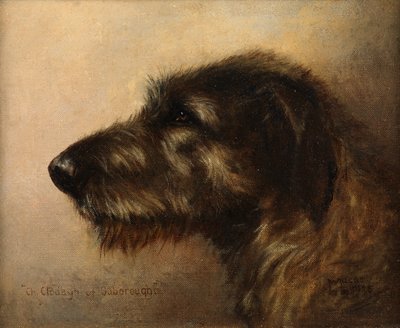 Champion Clodagh of Ouborough, an Irish Wolfhound by Henry Frederick Lucas Lucas