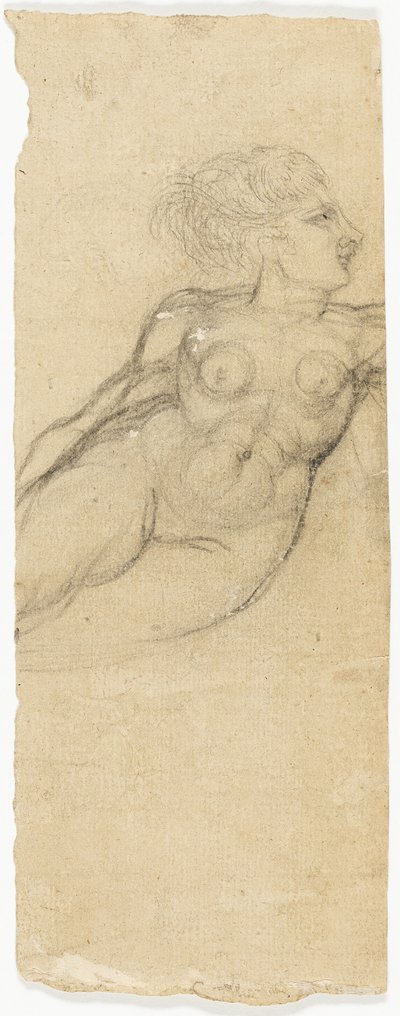 Studies of Nudes by Henry Fuseli