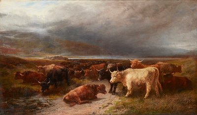 Highland Cattle in a Mountain Glen by Henry Garland