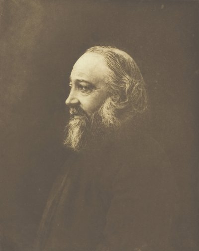 The Very Reverend Dr. Butler Master of Trinity, Cambridge, c. 1893 by Henry Herschel Hay Cameron