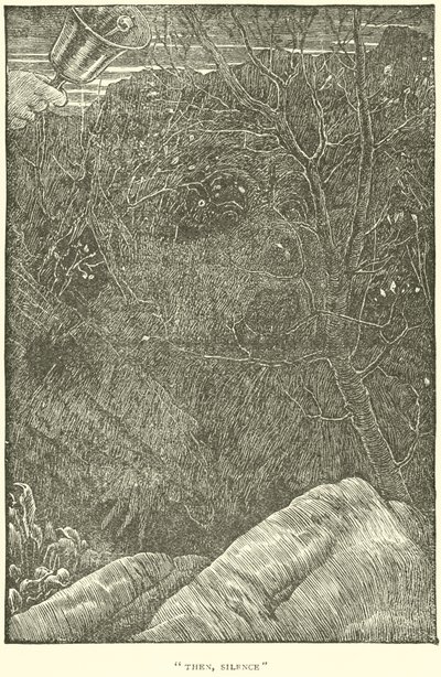 The Hunting of the Snark by Henry Holiday