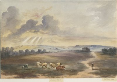 Cannock Chase - Heath by Henry James Noyes