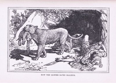 How the Lioness Saved Malcus by Henry Justice Ford