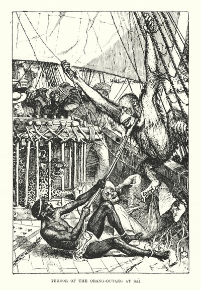Terror of the orang-outang at Sai by Henry Justice Ford