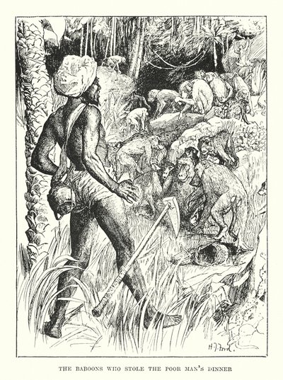 The Baboons Who Stole the Poor Man