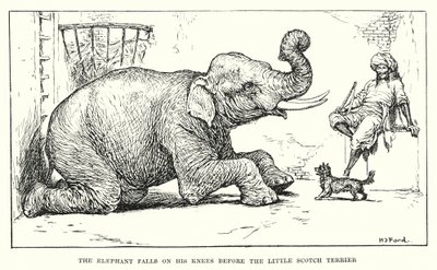 The elephant falls on his knees before the little Scotch terrier by Henry Justice Ford