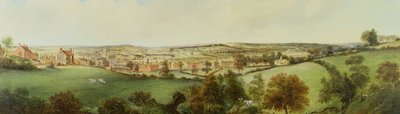 Panoramic View of Stoke on Trent by Henry Lark Pratt