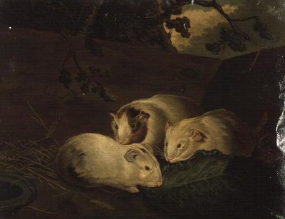 Primitive Study of Guinea Pigs by Henry Penry Williams