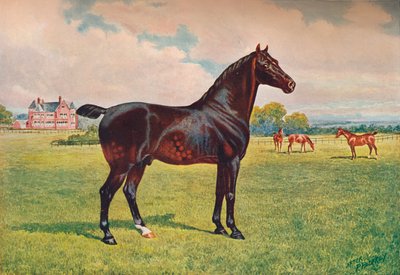 Hackney Pony Stallion Berkeley Model by Henry Powell Palfrey