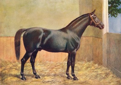 Yorkshire Coach Horse Stallion Crown Prince by Henry Powell Palfrey