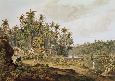 View Near Point du Galle, Ceylon, Engraved by Daniel Havell by Henry Salt