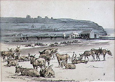 Donkeys on the Golf Course, illustration from 