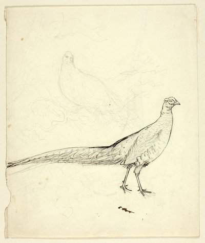 Two Sketches of Pheasant (front); Sketch of Pheasants and Female Nude (back) by Henry Stacy Marks