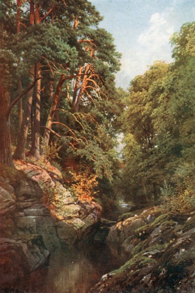 A Wooded Gorge, Killin, Perthshire by Henry Sutton Palmer