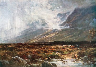 Moor and Mountain, Ross-Shire by Henry Sutton Palmer