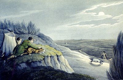 Badger Catching from the National Sports of Great Britain (engraved by J.H. Clarke) by Henry Thomas (after) Alken